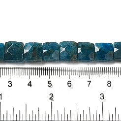 Natural Apatite Beads Strands&nbsp;G-C109-A13-02