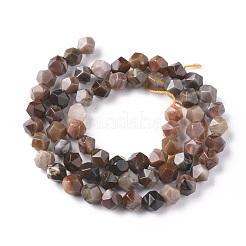 Natural Petrified Wood Beads Strands&nbsp;G-F668-02-6mm