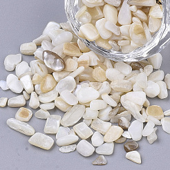 Freshwater Shell Beads&nbsp;LS-SHEL-S266-11