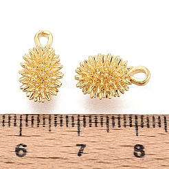 Brass Charms&nbsp;KK-N263-106G