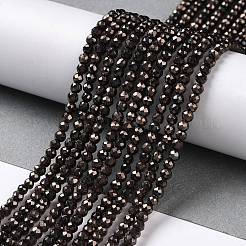 Electroplate Glass Beads Strands&nbsp;GLAA-H021-01B-FP06