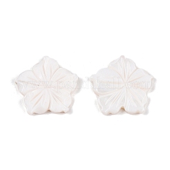 Natural Freshwater Shell Carved Cabochons&nbsp;SSHEL-T017-03