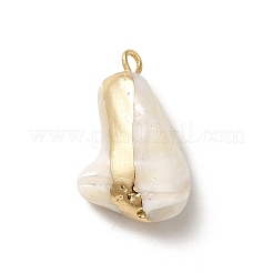 Natural Trochus Shell Pendants&nbsp;BSHE-E025-01LG