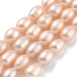 Natural Cultured Freshwater Pearl Beads Strands&nbsp;PEAR-P062-10G