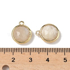 Natural Moonstone Faceted Flat Round Charms&nbsp;G-U028-03G-13