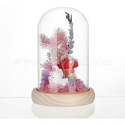 Glass Dome Cover&nbsp;DJEW-NB0001-35