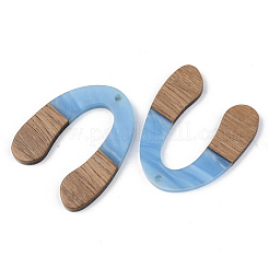 Opaque Resin & Walnut Wood Pendants&nbsp;RESI-S389-058A-C01