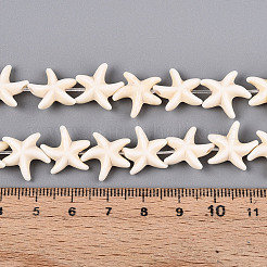 Gemstone Beads Strands&nbsp;TURQ-S210-1