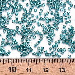 Glass Cylinder Beads&nbsp;SEED-S047-R-011
