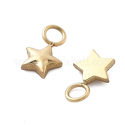 304 Stainless Steel Charms&nbsp;STAS-M111-32G