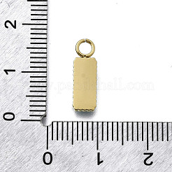 304 Stainless Steel Charms&nbsp;STAS-H233-11G