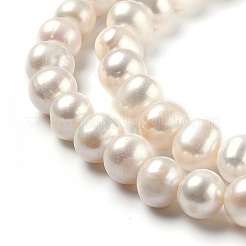 Natural Cultured Freshwater Pearl Beads Strands&nbsp;PEAR-L033-15-01