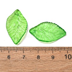Transparent Acrylic Pendanrs&nbsp;AC-CBA99FE-01