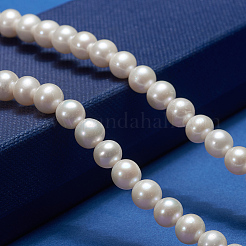 Natural Cultured Freshwater PearlBeads Strands&nbsp;PEAR-E002-04-01