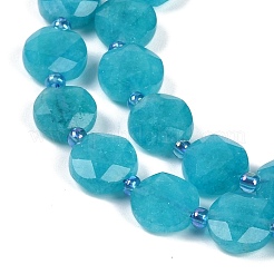Natural Amazonite Dyed  Beads Strands&nbsp;G-C116-A23-01B