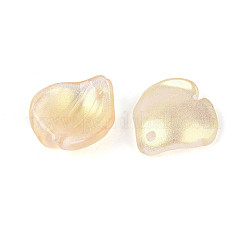 Transparent Glass Petal Pendants&nbsp;GLAA-T030-05D