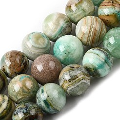 Natural Green Line Jasper  Beads Strands&nbsp;X-G-L639-A01-6mm