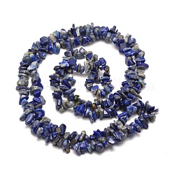 Natural Lapis Lazuli Chip Bead Strands&nbsp;G-M205-14