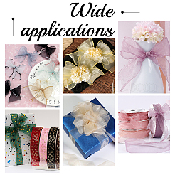 Polyester Ribbon&nbsp;OCOR-WH0110-42B