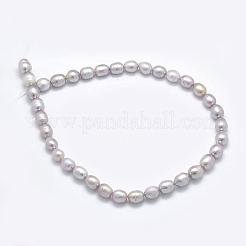 Natural Cultured Freshwater Pearl Beads Strands&nbsp;PEAR-K003-26A-01