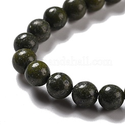 Natural Epidote Beads Strands&nbsp;G-D465-01A