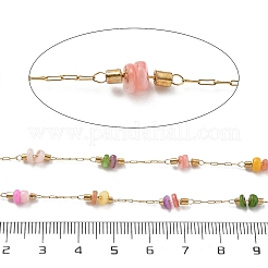 Shell & 304 Stainless Steel Oval Beads Link Chains&nbsp;CHS-K021-09G-02
