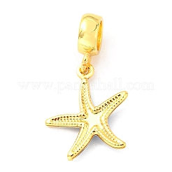 Brass Enamel European Dangle Charms&nbsp;KK-M247-11G-02