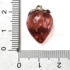 Brass Acrylic Pendants&nbsp;OACR-R006-03G-02