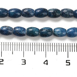 Natural Dolomite Beads Strands&nbsp;G-F765-A03-01