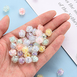 Transparent Acrylic Beads&nbsp;TACR-T024-06B