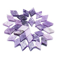 Natural Lepidolite Beads Strands&nbsp;G-K245-E02-01