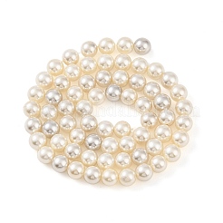 Electroplated Natural Freshwater Shell Beads Strands&nbsp;BSHE-G036-22