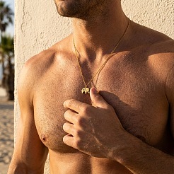 304 Stainless Steel Animals Pendant Necklaces for Unisex&nbsp;FS-WG64CAD-03