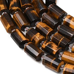 Natural Tiger Eye Beads Strands&nbsp;G-G453-E01-10x14mm