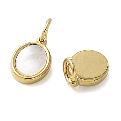 304 Stainless Steel Natural Paua Shell/White Shell Charms Ion Plating(IP)&nbsp;STAS-U037-03G-02