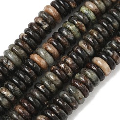 Natural Biotite Beads Strands&nbsp;G-B155-B04-4x10mm