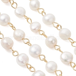 Natural Cultured Freshwater Pearl Link Chains&nbsp;AJEW-JB01585-02