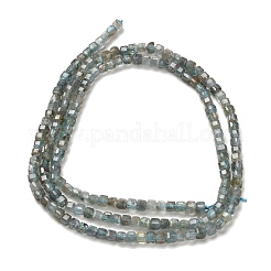 Natural Apatite Beads Strands&nbsp;G-B107-C01-01