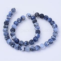 Natural Sodalite Beads Strands&nbsp;G-Q462-6mm-07