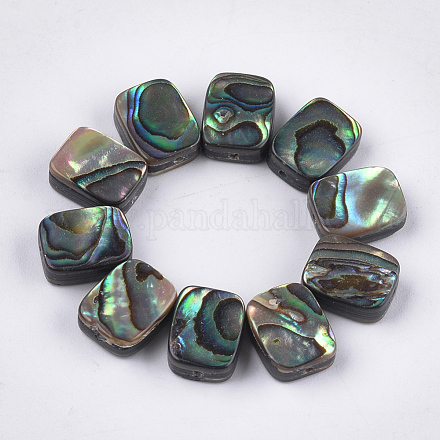 Abalone Shell/Paua Shell Beads&nbsp;SSHEL-T008-05-1