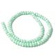 Natural Freshwater Shell Beads Strands&nbsp;SSHEL-C013-07D-2