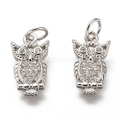 Brass Micro Pave Clear Cubic Zirconia Charms, Cadmium Free & Lead Free, Long-Lasting Plated, with Jump Ring, Owl Shape, Platinum, 14.5x8x2.5mm, Jump Ring: 5x1mm, 3mm Inner Diameter