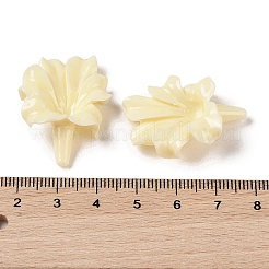 Synthetic Coral Beads&nbsp;CORA-C001-02D