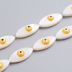 Natural Shell Beads Strands&nbsp;SSHEL-I024-04A