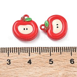 Baking Paint Alloy Charms&nbsp;FIND-G109-03