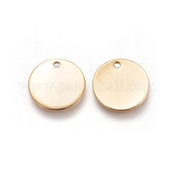 304 Stainless Steel Charms&nbsp;STAS-I098-06