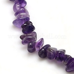 Natural Amethyst Chips Beads Strands&nbsp;X-G-P030-02
