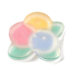 Translucent Resin Cabochons&nbsp;RESI-H147-01F
