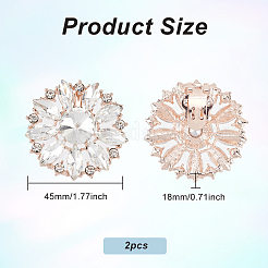 2Pcs Alloy Rhinestone Shoe Decorations&nbsp;AJEW-FG0003-72B