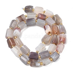 Natural Botswana Agate Beads Strands&nbsp;G-C270-K16